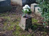 image of grave number 954464